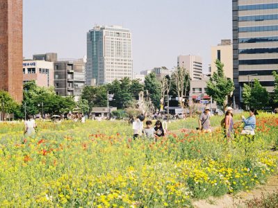 a group of people standing in a field of flowers